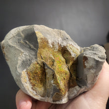 Load image into Gallery viewer, Rainbow Pyrite Geode Fragments
