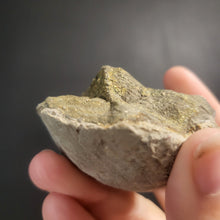 Load image into Gallery viewer, Rainbow Pyrite Geode Fragments