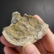 Load image into Gallery viewer, Rainbow Pyrite Geode Fragments