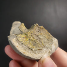 Load image into Gallery viewer, Rainbow Pyrite Geode Fragments