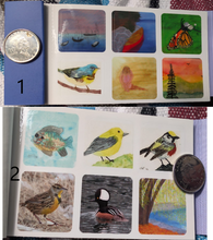 Load image into Gallery viewer, Mini Sticker Sheet (assorted designs)