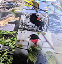 Load image into Gallery viewer, Ontario Bird Sticker Book