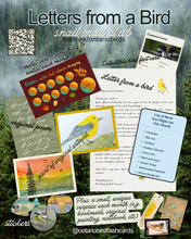 Load image into Gallery viewer, Letters from a Bird - Snail Mail Club (Yearly - 12 letters)