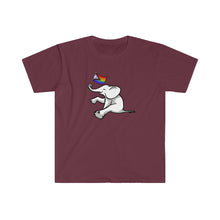 Load image into Gallery viewer, White Elephant Holiday Pride Flag Tee