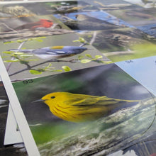 Load image into Gallery viewer, Ontario Bird Sticker Book