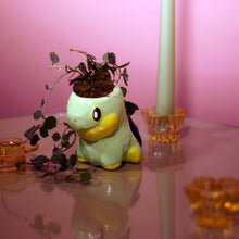 Load image into Gallery viewer, Big Turtwig Planter