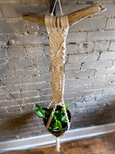 Load image into Gallery viewer, Tapestry-Plant Hanger