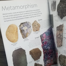 Load image into Gallery viewer, Eyewitness: Rocks & Minerals