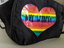 Load image into Gallery viewer, Love Wins Face Mask!