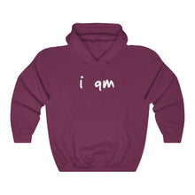 Load image into Gallery viewer, “I AM WEALTHY” Hoodie