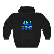 Load image into Gallery viewer, Hi Def Homo Hoodie