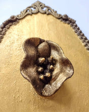 Load image into Gallery viewer, Victorian Vulvas: Vagina Dentata