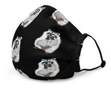 Load image into Gallery viewer, Racoon of Toronto Mask