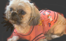 Load image into Gallery viewer, Dog knitted sweater