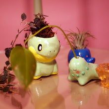 Load image into Gallery viewer, Big Turtwig Planter