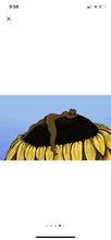 Load image into Gallery viewer, Sunflower baby print