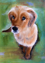Load image into Gallery viewer, Custom Oil Painting Pet Portrait