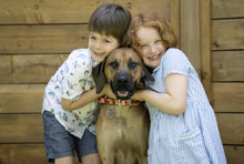 Load image into Gallery viewer, Porch/Outdoor Portraits
