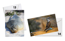 Load image into Gallery viewer, Wildlife Series Greeting Cards - Original Photography