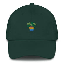 Load image into Gallery viewer, Pan Plant embroidered hat