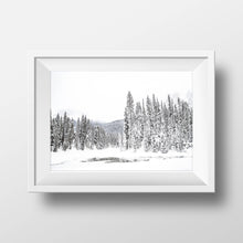 Load image into Gallery viewer, Trees in Winter
