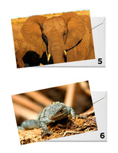 Load image into Gallery viewer, Wildlife Series Greeting Cards - Original Photography