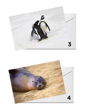 Load image into Gallery viewer, Wildlife Series Greeting Cards - Original Photography