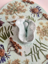 Load image into Gallery viewer, Pussy Petals