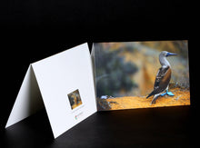 Load image into Gallery viewer, Wildlife Series Greeting Cards - Original Photography