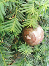 Load image into Gallery viewer, Nipple Ornament