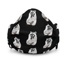 Load image into Gallery viewer, Racoon of Toronto Mask