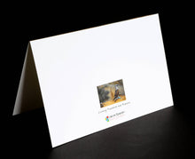 Load image into Gallery viewer, Wildlife Series Greeting Cards - Original Photography