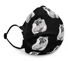 Load image into Gallery viewer, Racoon of Toronto Mask