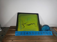 Load image into Gallery viewer, Black and Green Cracked Earth Glow In The Dark Tray