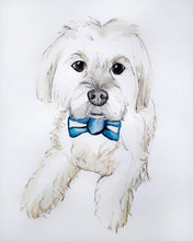 Load image into Gallery viewer, custom pet portrait - 5x7 watercolour painting