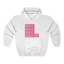 Load image into Gallery viewer, Really, Really, Really, Really Gay Hoodie