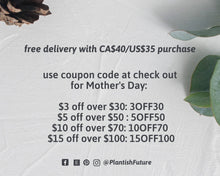 Load image into Gallery viewer, Soap Saver | Exfoliating Sisal Bag, Pouch | Washcloth, Mitt, Puff for Shower, Bathroom | Zero Waste | Plantish | Mother's Day Gifts