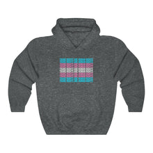Load image into Gallery viewer, Trans Rights Flag Hoodie
