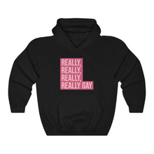 Load image into Gallery viewer, Really, Really, Really, Really Gay Hoodie