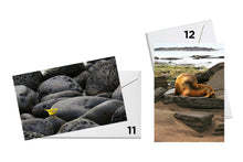 Load image into Gallery viewer, Wildlife Series Greeting Cards - Original Photography