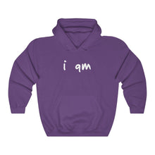 Load image into Gallery viewer, “I AM WEALTHY” Hoodie