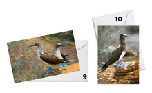 Load image into Gallery viewer, Wildlife Series Greeting Cards - Original Photography