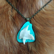 Load image into Gallery viewer, Raccoon Skull Fragment and Stone Necklace - *REAL BONE*