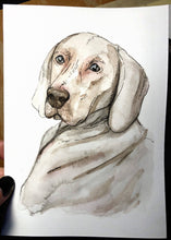 Load image into Gallery viewer, custom pet portrait - 8x10 watercolour painting