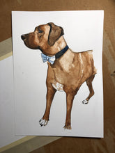 Load image into Gallery viewer, custom pet portrait - 5x7 watercolour painting
