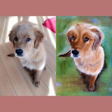 Load image into Gallery viewer, Custom Oil Painting Pet Portrait