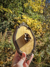 Load image into Gallery viewer, Victorian Vulvas: Vagina Dentata