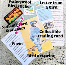 Load image into Gallery viewer, Letters from a Bird - Snail Mail Club (Yearly - 12 letters - CANADA &amp; US)
