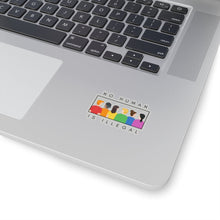 Load image into Gallery viewer, No Human is Illegal Sticker
