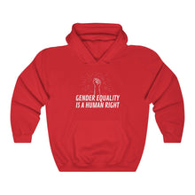 Load image into Gallery viewer, Gender Equality is a Human Right Hoodie

